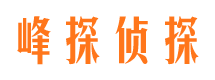 花山市侦探调查公司